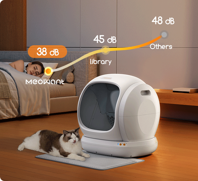 How Self-Cleaning Litter Boxes Work? - Meowant