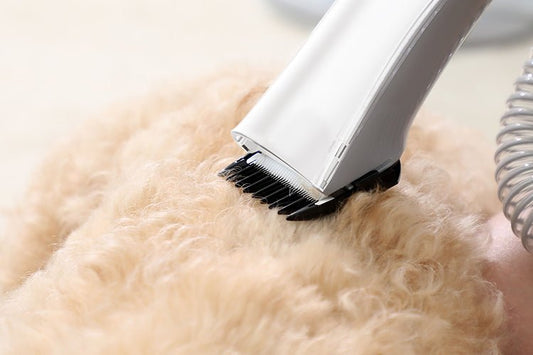 How to Choose the Right Grooming Kit for Dogs and Cats - Meowant