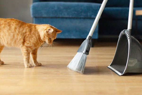 How to Clean &amp; Sanitize Your Cat Litter Box - Meowant