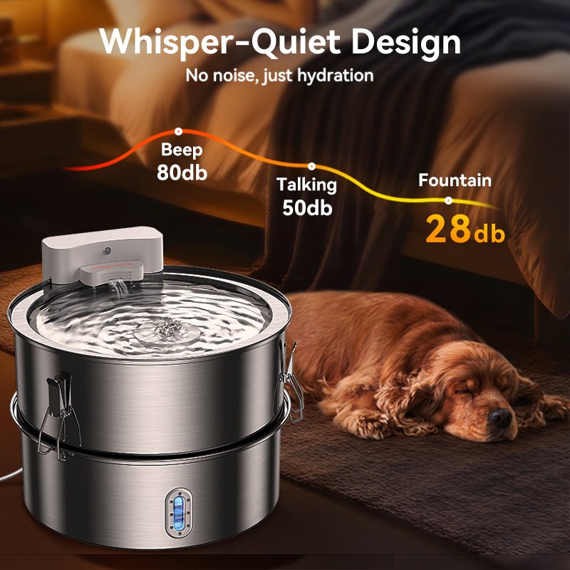 How to Hydrate a Dog - Meowant