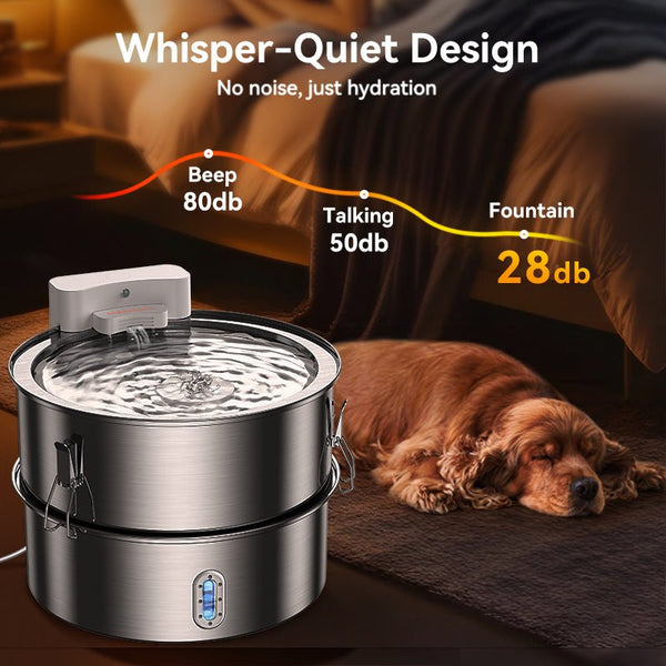 How to Hydrate a Dog - Meowant