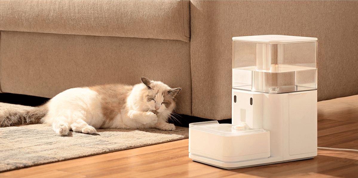 Is a Cat Water Fountain Worth It? Experts Say Yes - Meowant