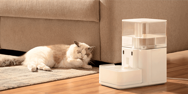 Is a Cat Water Fountain Worth It? Experts Say Yes - Meowant