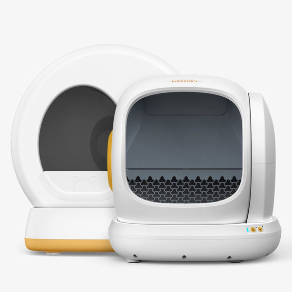 Is Your 4-Month-Old Kitten Ready for an Automatic Litter Box?