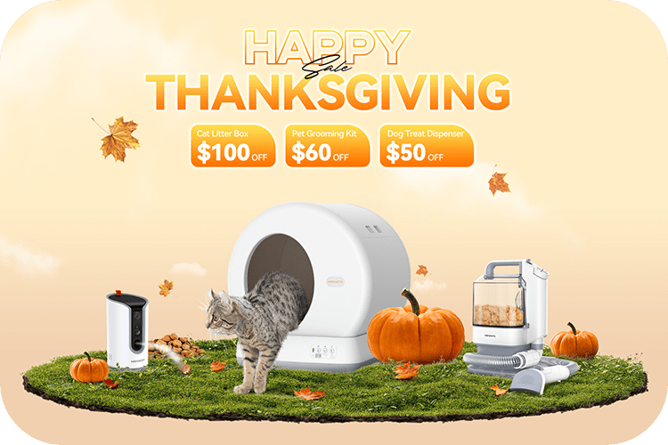 Meowant's Thanksgiving Extravaganza: Exclusive Deals for Happy Pets! - Meowant