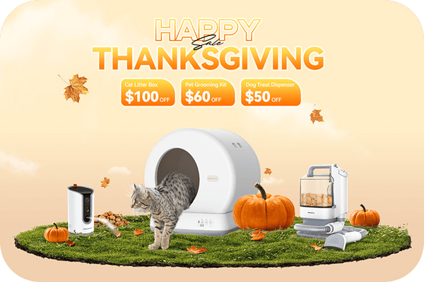 Meowant's Thanksgiving Extravaganza: Exclusive Deals for Happy Pets! - Meowant