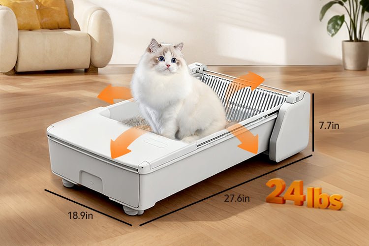 Open vs Enclosed Self-Cleaning Litter Boxes: Which Is Best in 2026? - Meowant