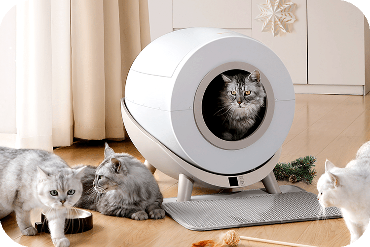 Optimal Comfort: Choosing Spacious Litter Boxes for Your Cats - Meowant