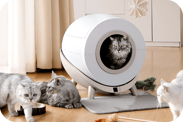 Optimal Comfort: Choosing Spacious Litter Boxes for Your Cats - Meowant