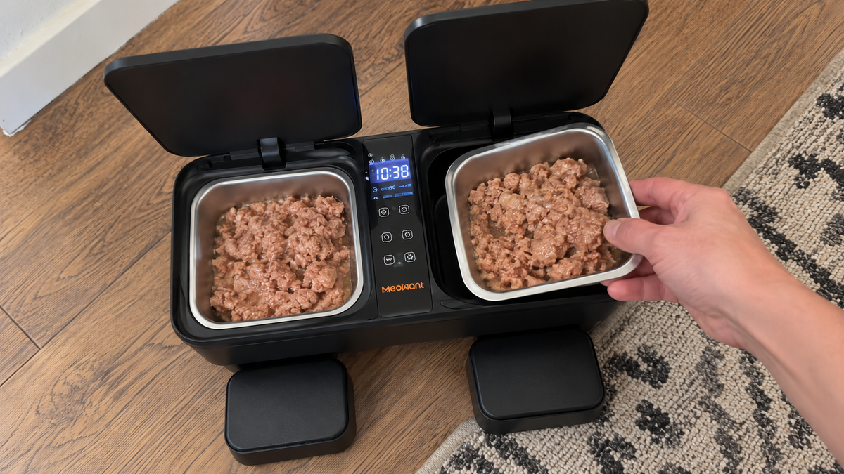 Hands placing a filled removable bowl into a two-bowl feeder