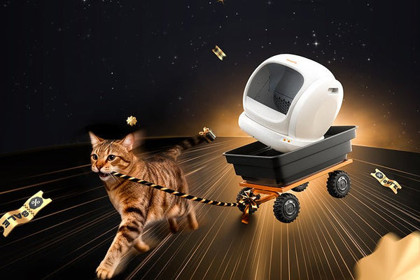 Scoop-Free Living Starts Here: Meowant’s Black Friday Cat Litter Box Sale 2025 - Meowant