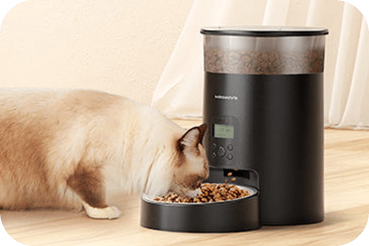 Should You Use an Automatic Feeder for Your Cat? - Meowant