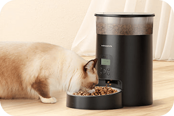 Should You Use an Automatic Feeder for Your Cat? - Meowant
