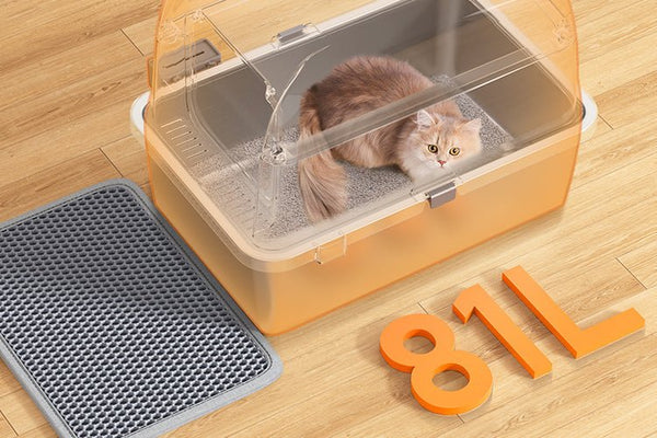 Stainless Steel vs Plastic: Which Cat Litter Box Is Best? - Meowant