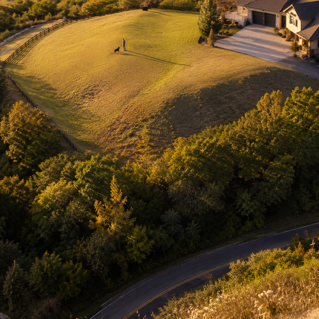 Aerial view of a grassy slope with road and trees at bottom, a person and dog near upper flat area.