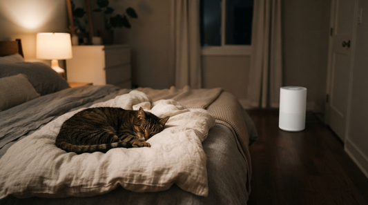 A sleeping cat rests in a dim bedroom while a compact air purifier sits across the room