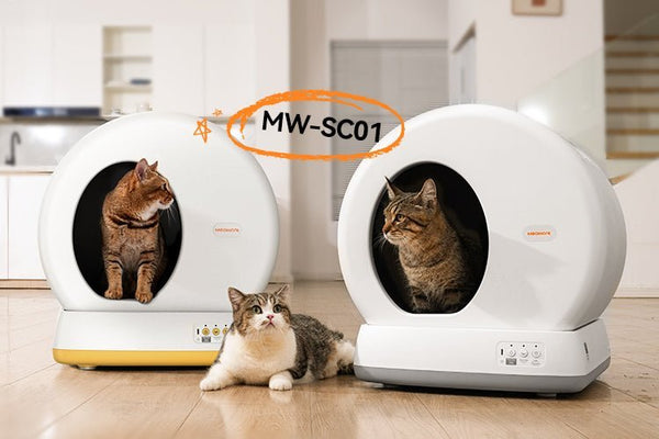 Tidy Cats Breeze Litter Box: Everything You Need to Know - Meowant