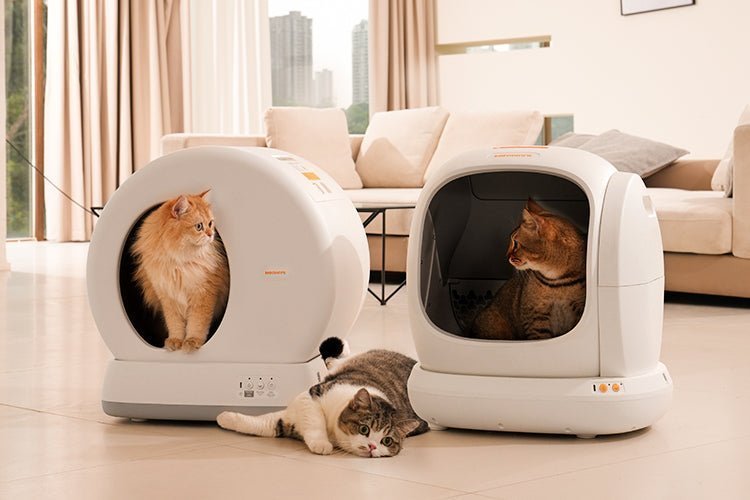 Types of Automatic Litter Boxes Explained - Meowant
