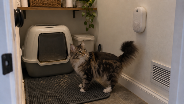 A lived-in small litter room shows safe ventilation, a worn mat, and a wall-mounted deodorizer.