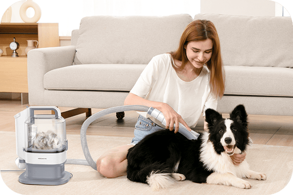 What At Home Grooming Can Do for Your Dog and You - Meowant