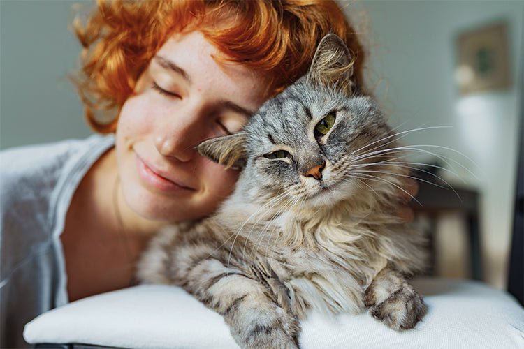 Why More People Are Treating Their Cats Like Family Members - Meowant