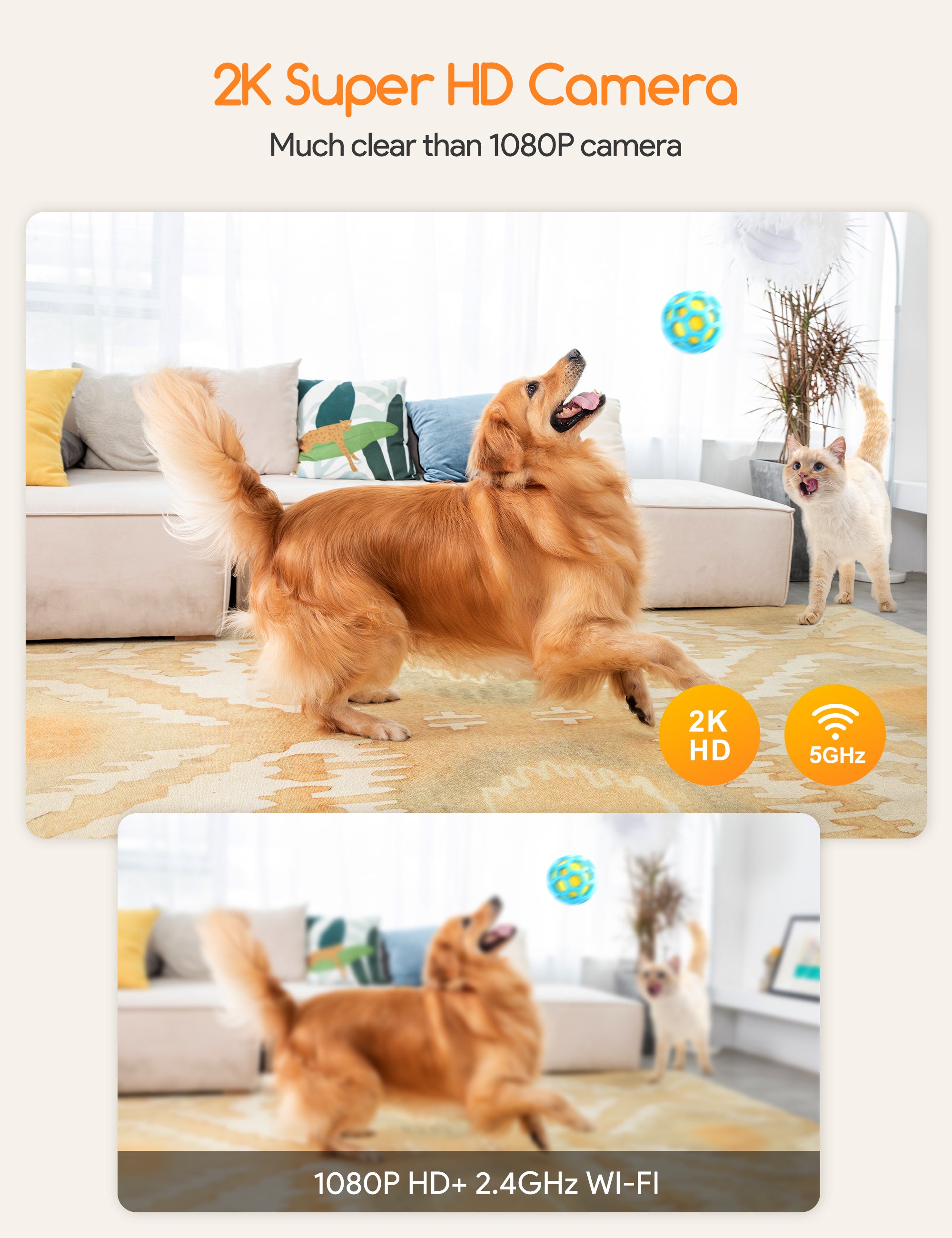 pet surveillance camera