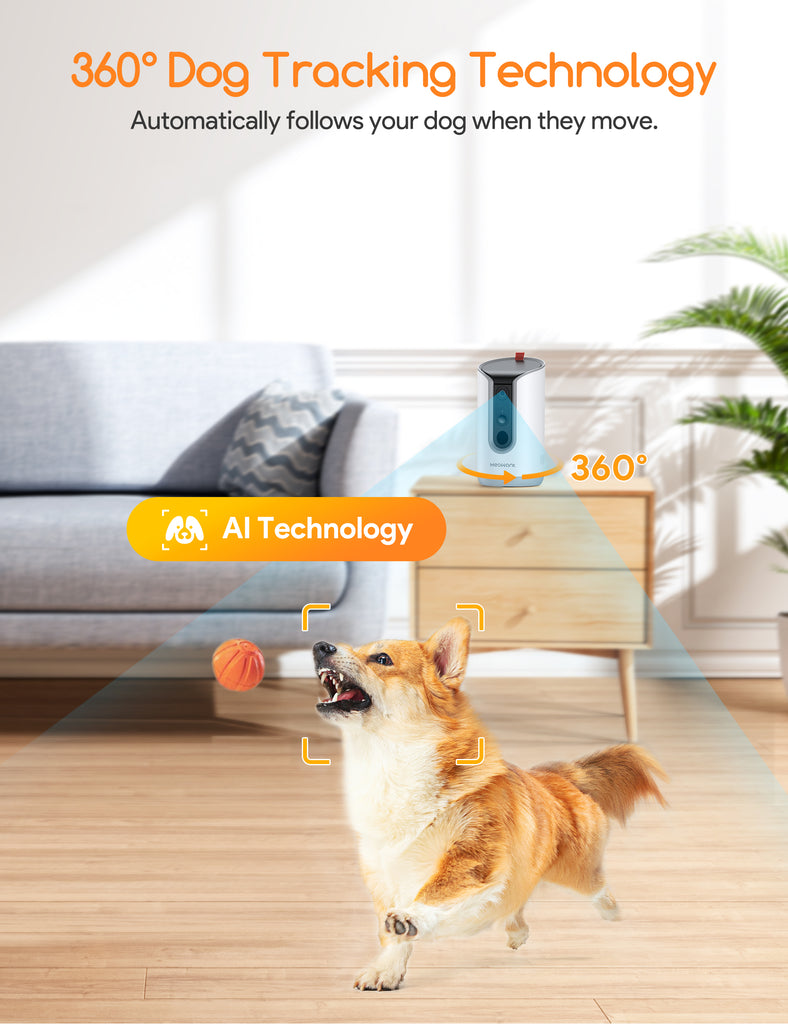 Meowant Dog Treat Dispenser with 360-degree tracking technology in a modern living room, tracking a playful Corgi with AI technology