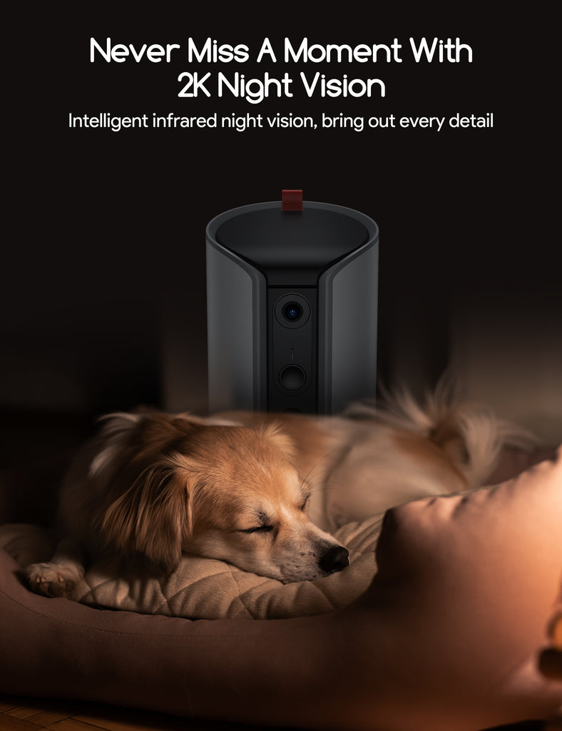 Meowant dog treat dispenser with 2K camera capturing a sleeping dog, showcasing intelligent infrared night vision feature