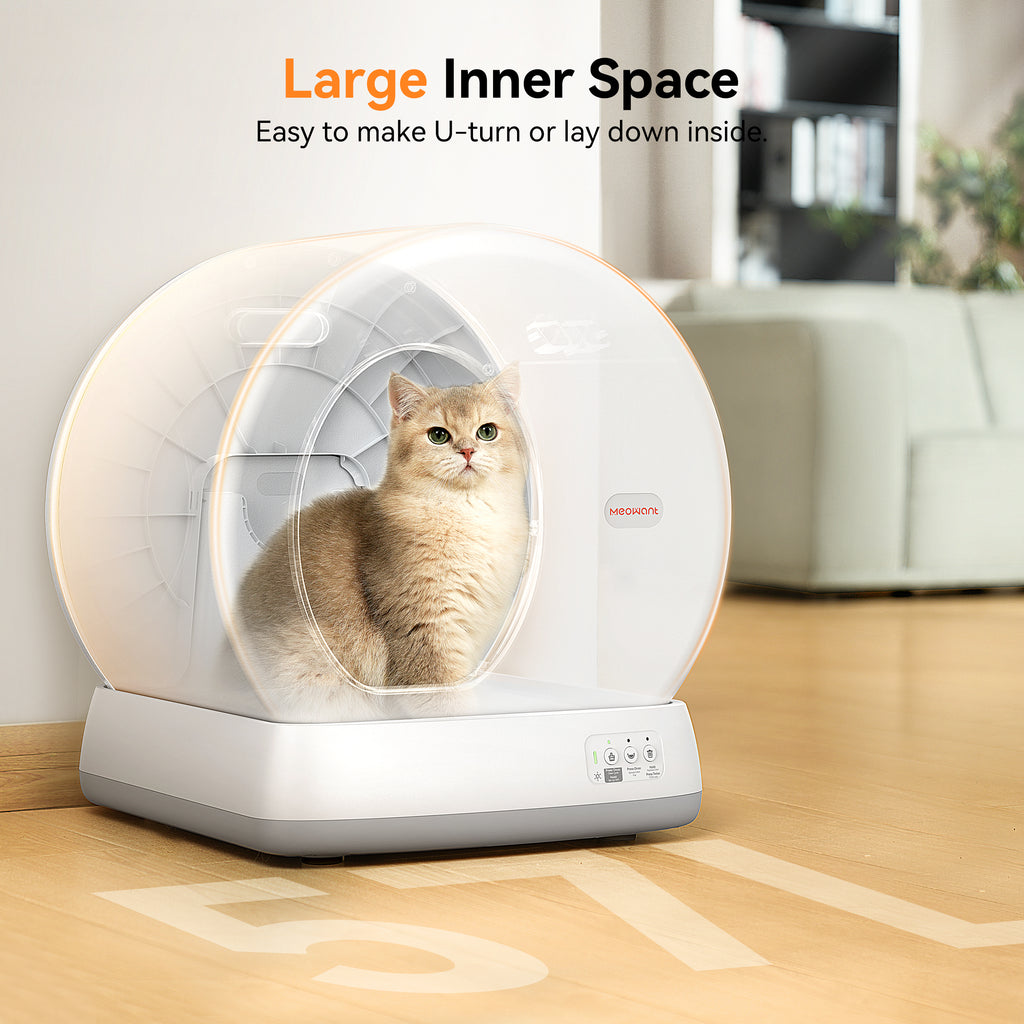 Meowant Self-Cleaning Cat Litter Box with large inner space, showcasing a cat inside, suitable for making U-turns or laying down, positioned in a home environment