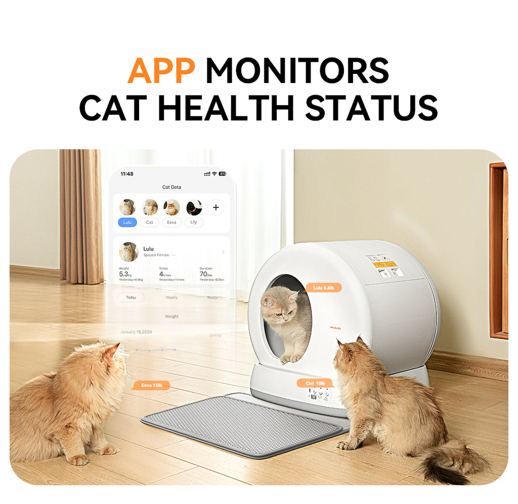 Meowant Self-Cleaning Cat Litter Box - MW-SC01 | Odor Control | Ultra-Quiet ...