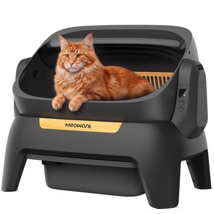 Meowant Self-Cleaning Cat Litter Box - MW-SC10(Black)