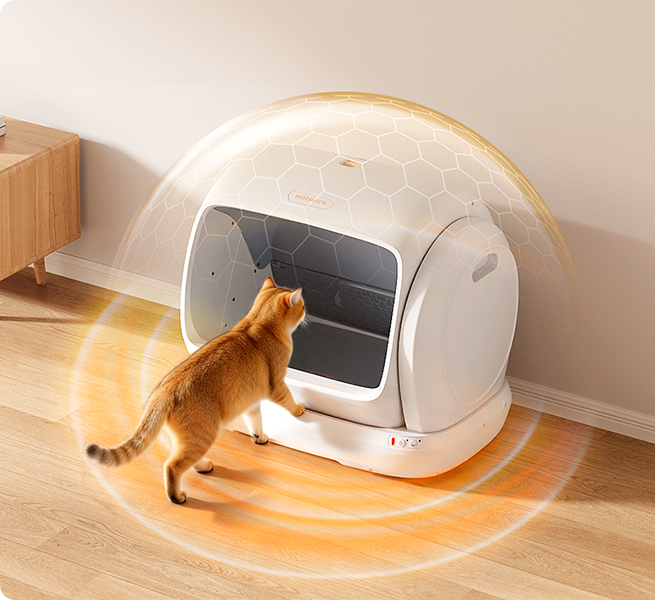 Meowant