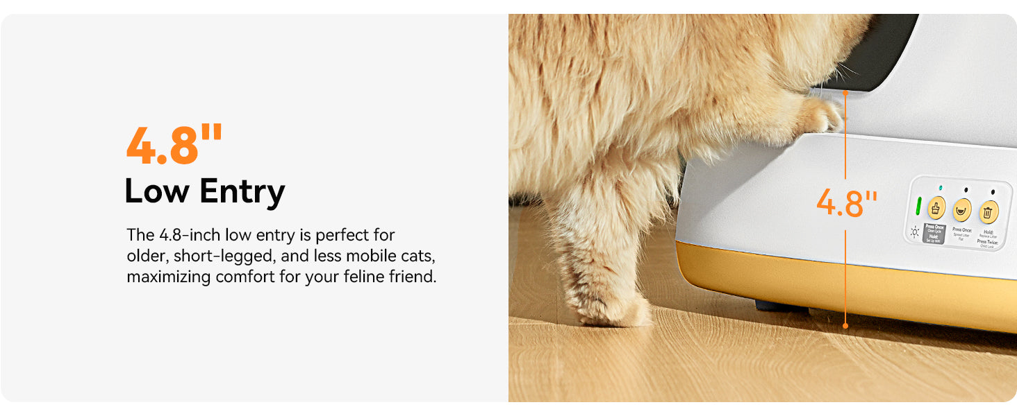 Meowant