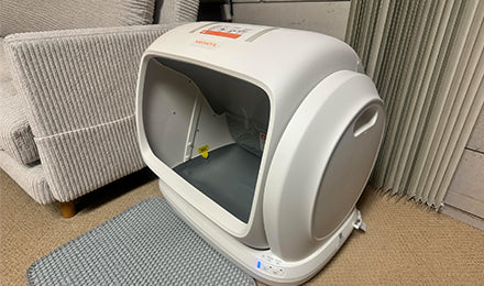 Meowant