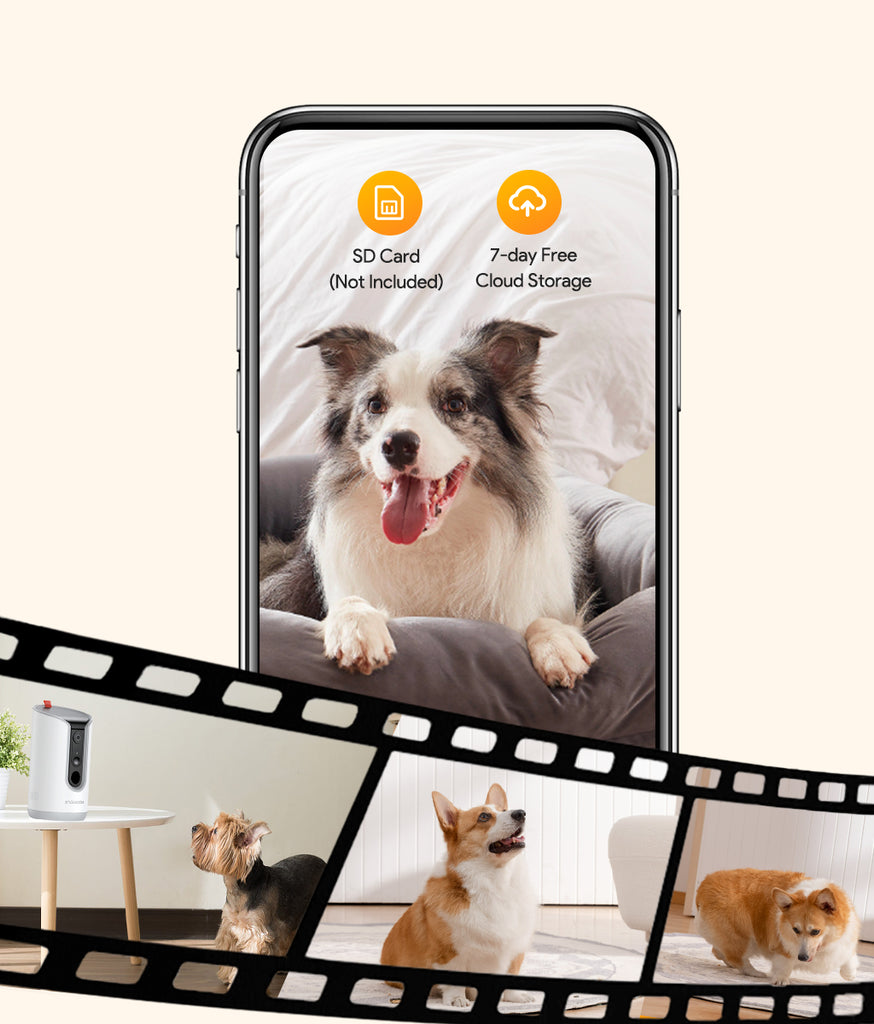 dog treat dispenser with remote｜TikTok Search