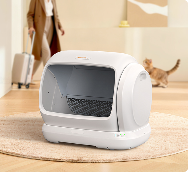 Meowant