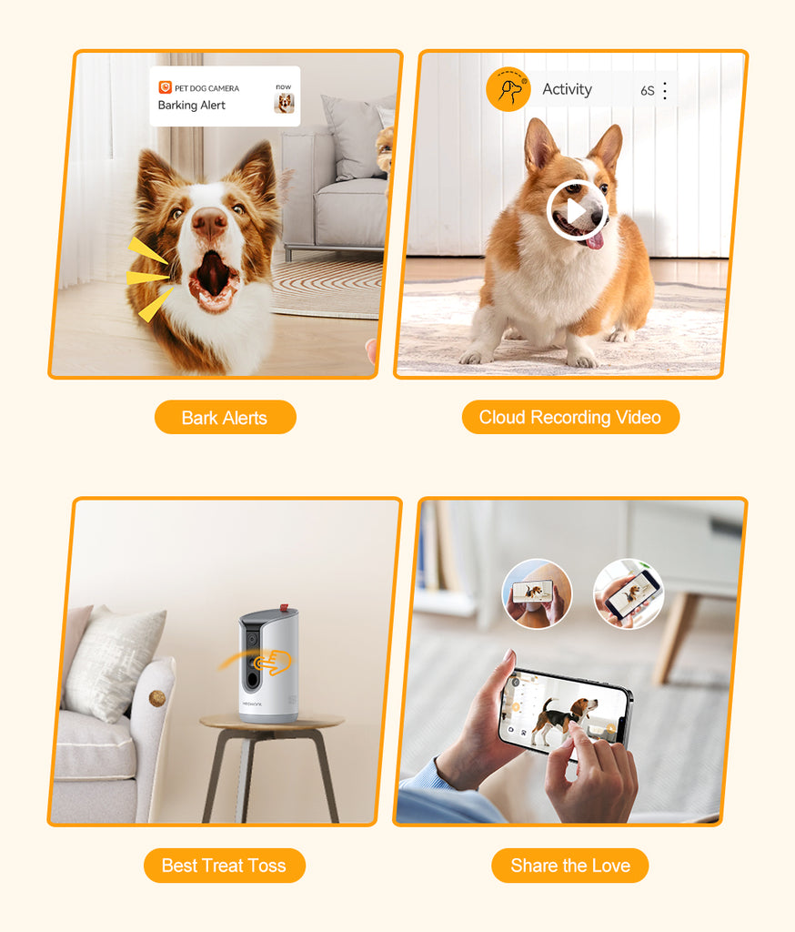 Meowant Dog Treat Dispenser with 2K Camera