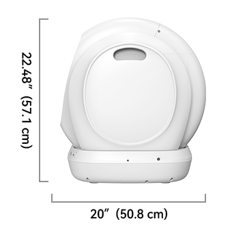 Meowant