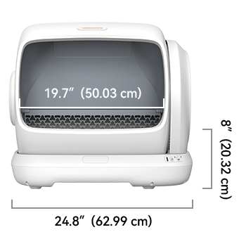 Meowant