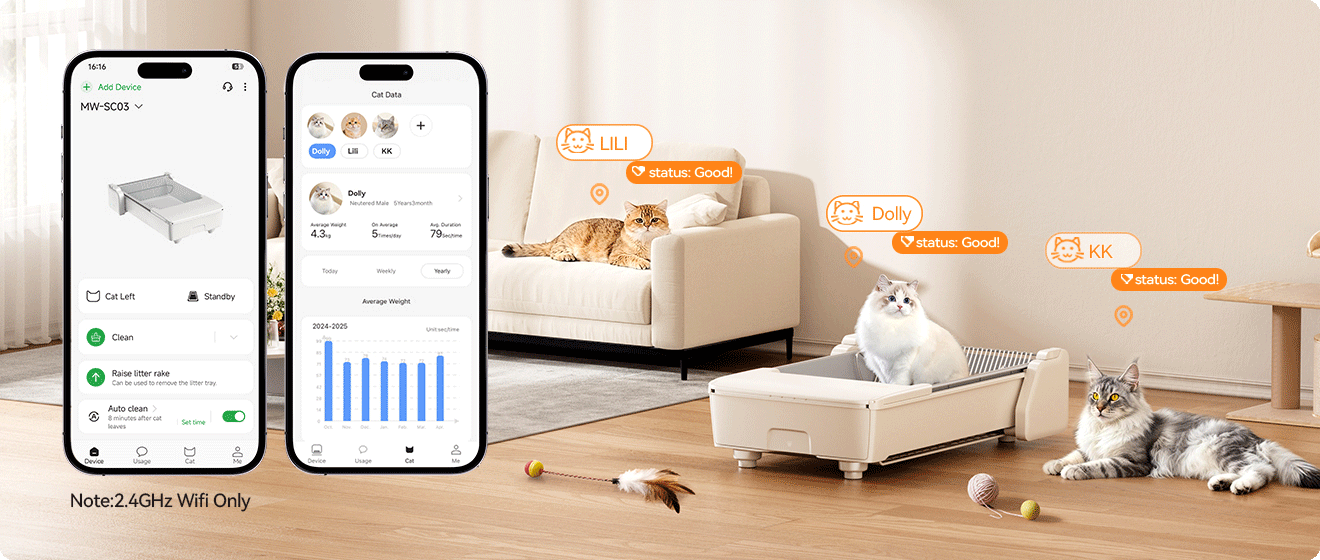Meowant