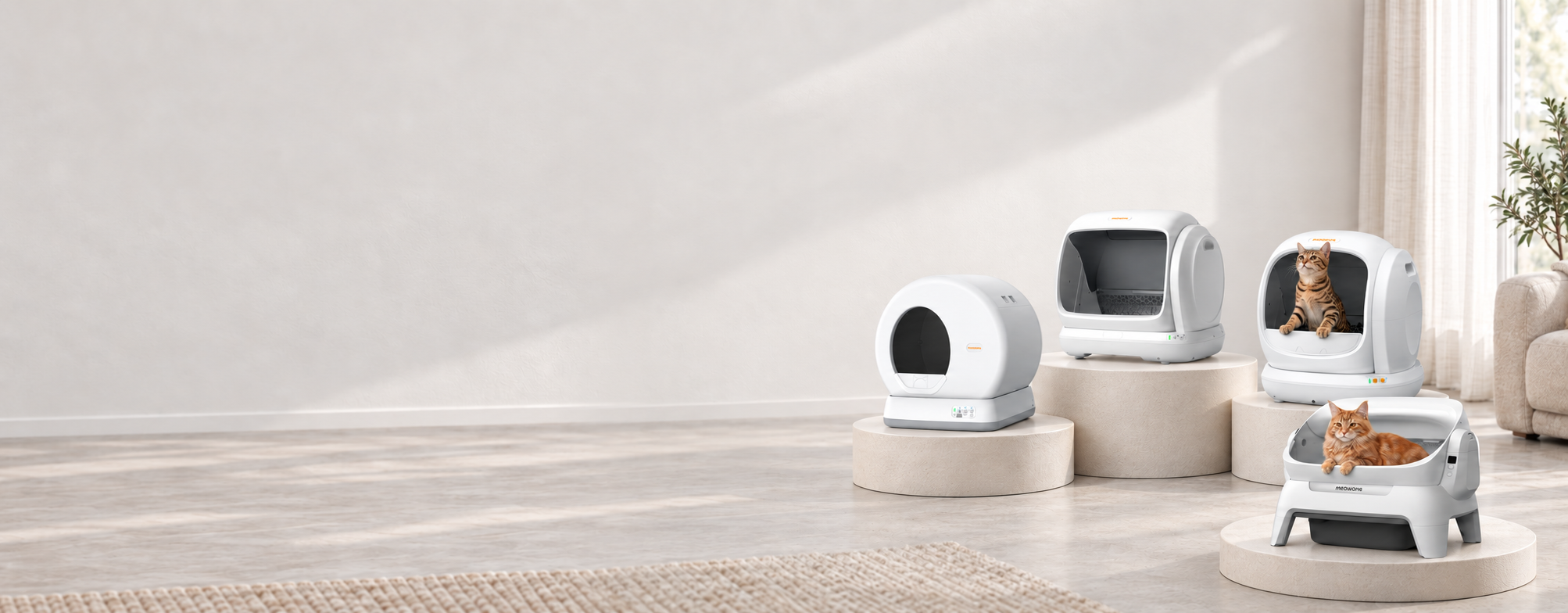 Meowant