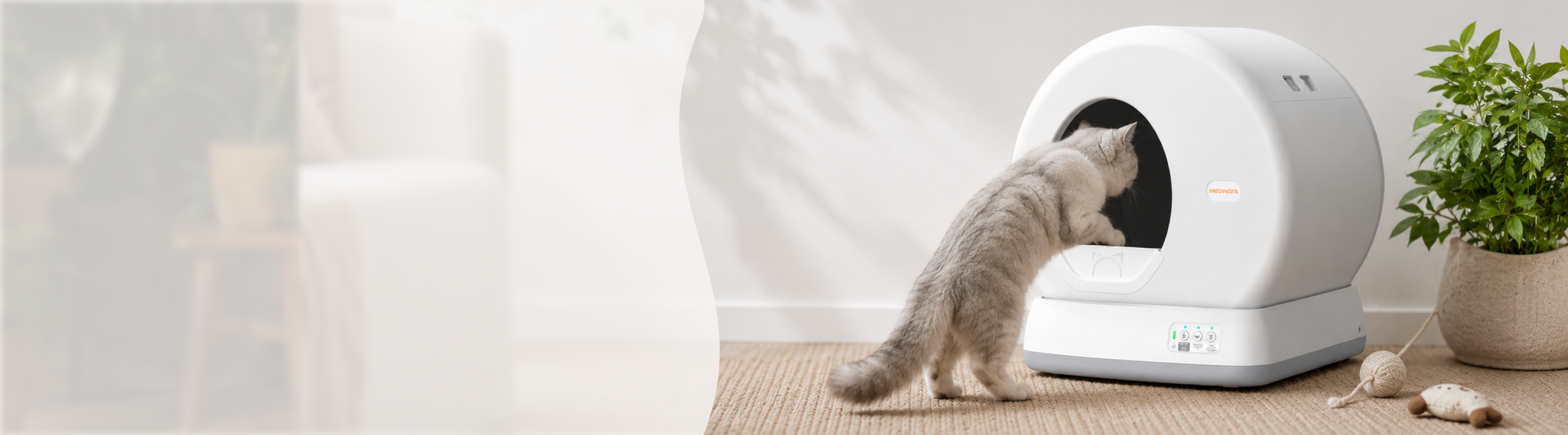 Meowant