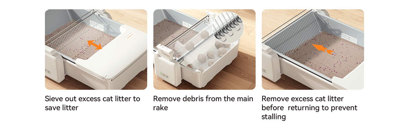 Meowant