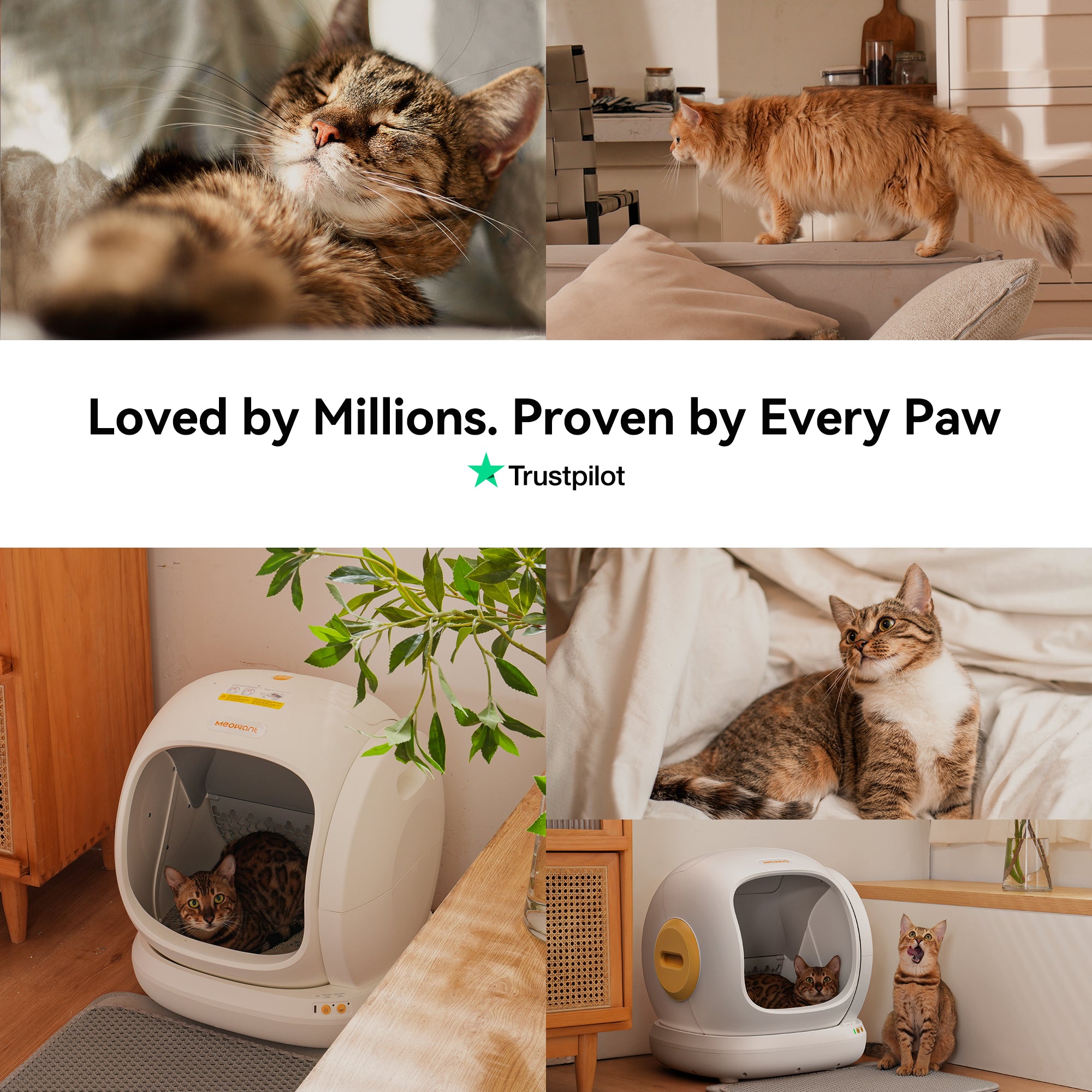 Meowant Self-Cleaning Cat Litter Box - MW-SC02