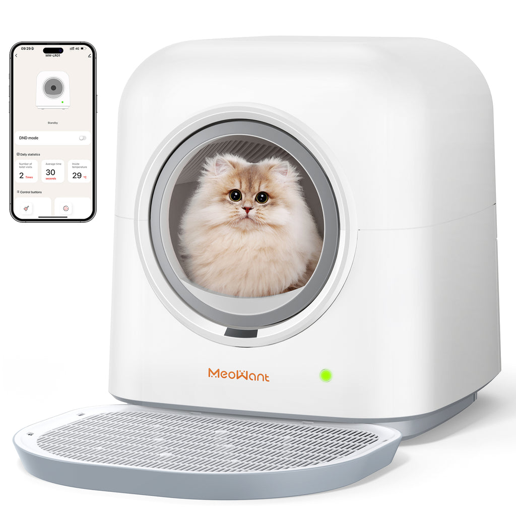 Fluffy cat inside white Meowant MW-LR01 self-cleaning cat litter box with app monitoring interface on smartphone, showcasing smart features and pet comfort