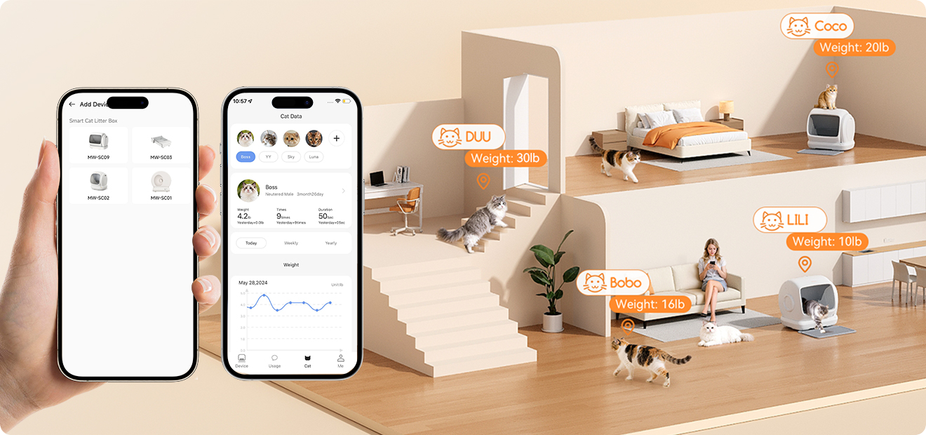 Meowant