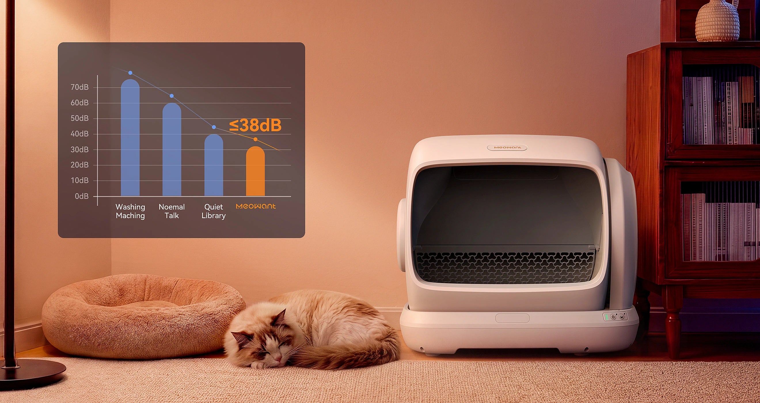 Meowant