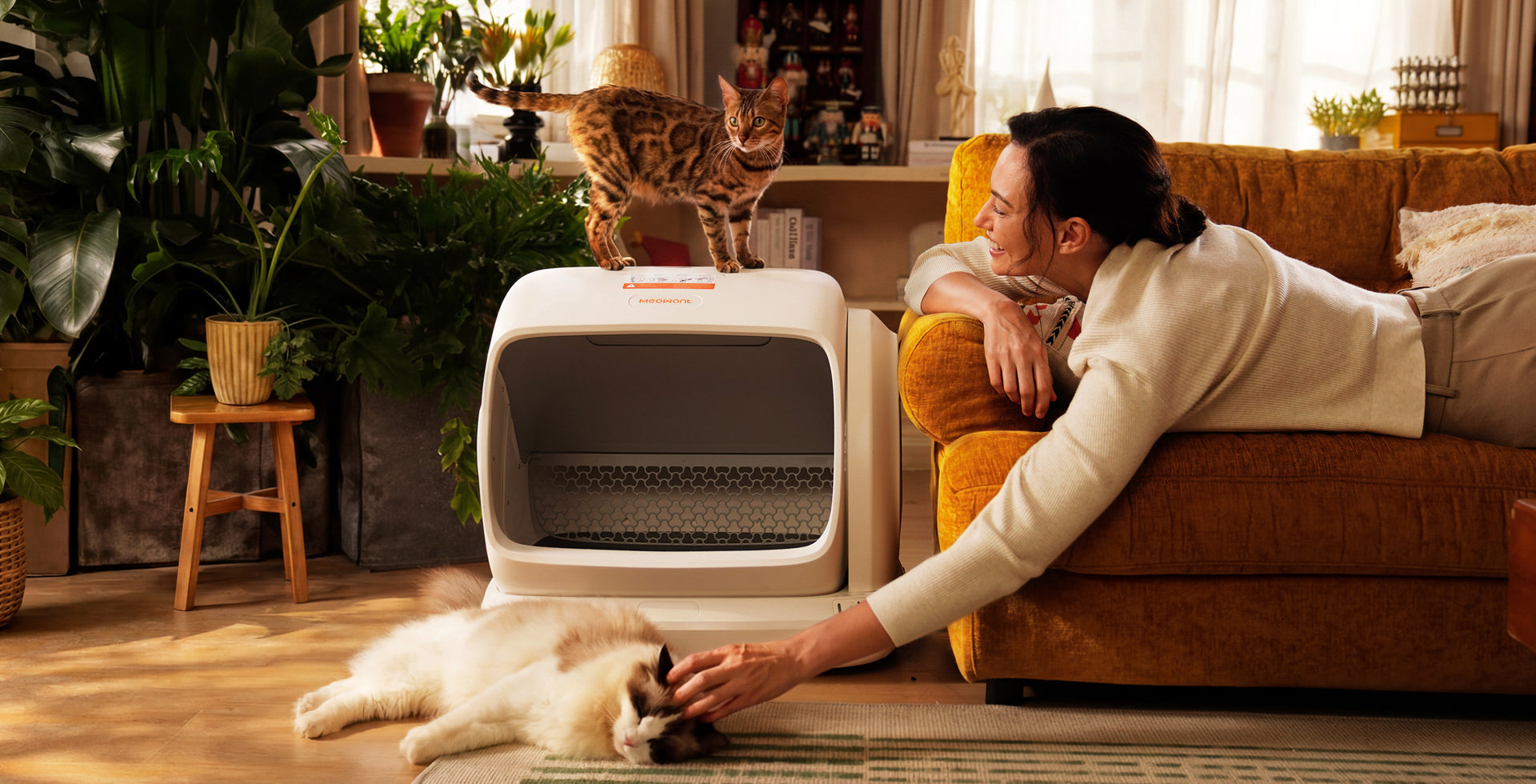 Meowant