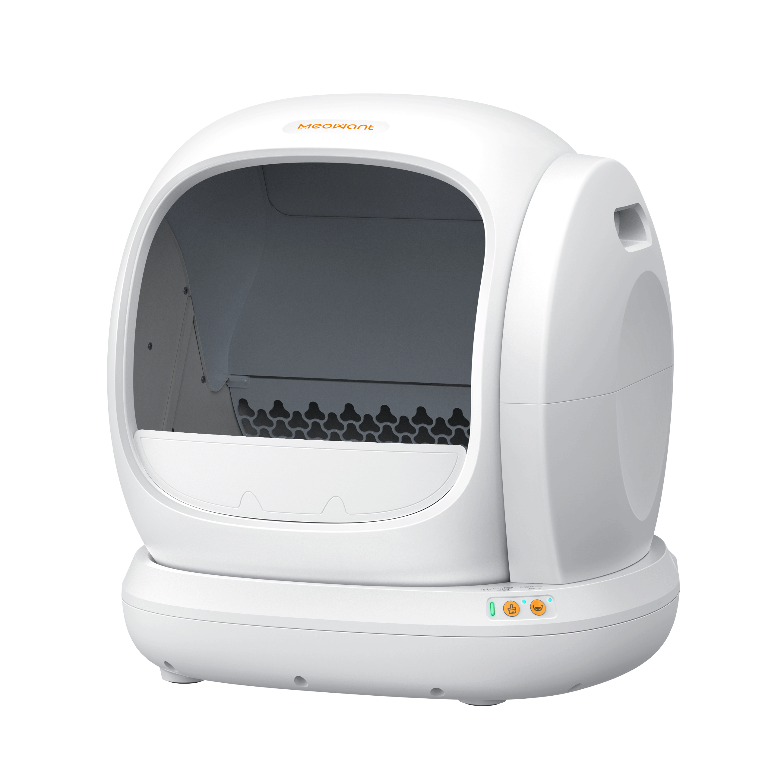 Meowant