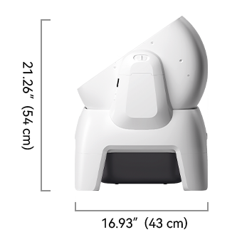 Meowant